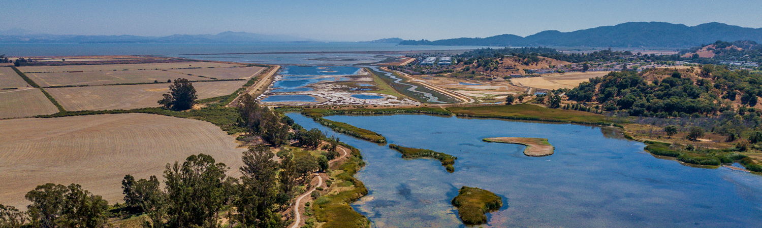 Banner image of Novato